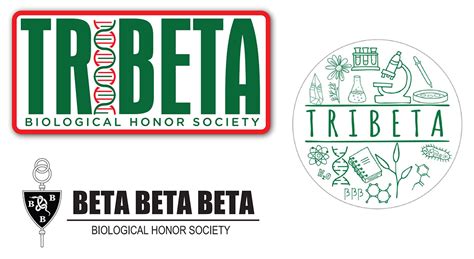 tri beta|About .